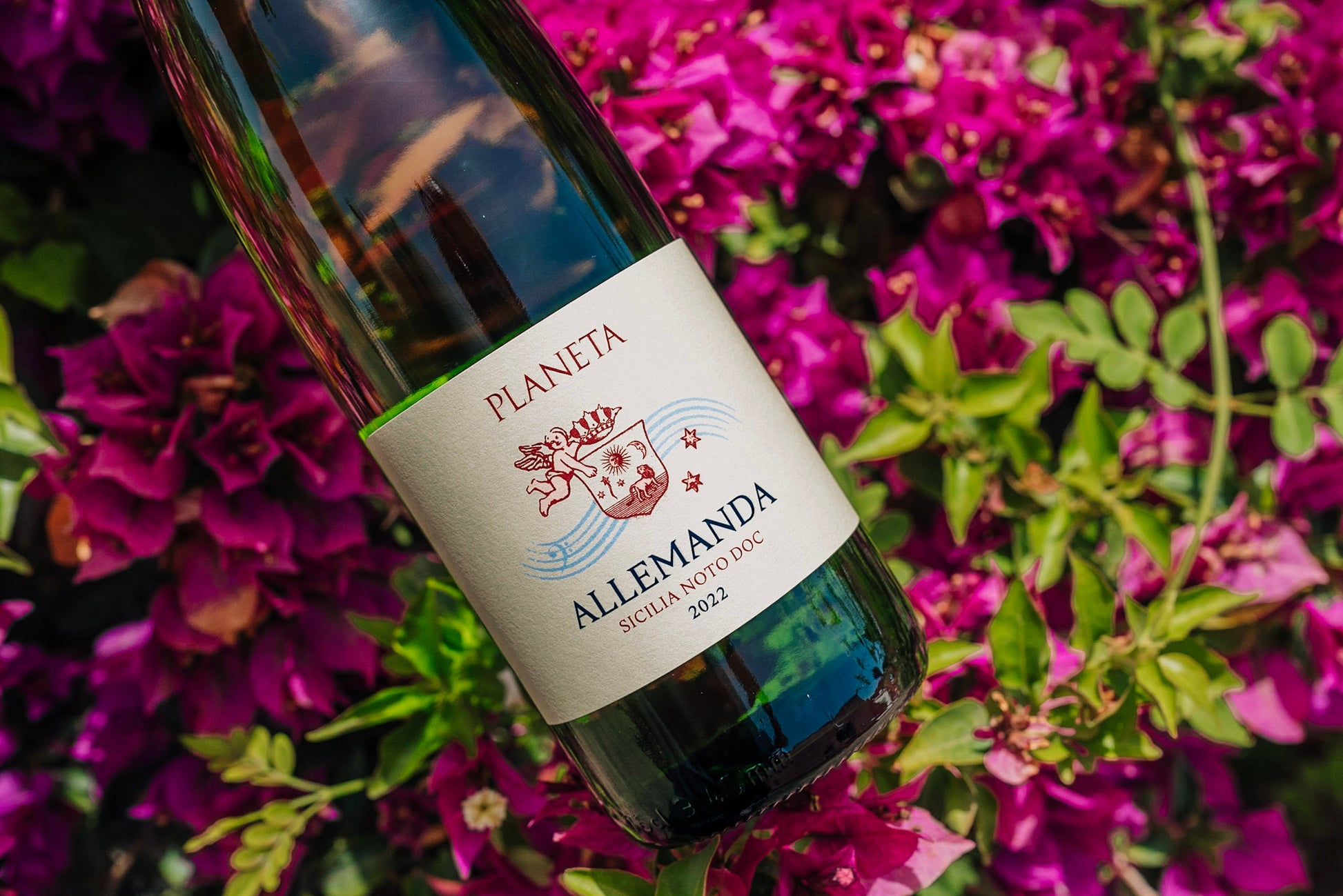 Allemanda - PLANETA 750ml x 1 bottle