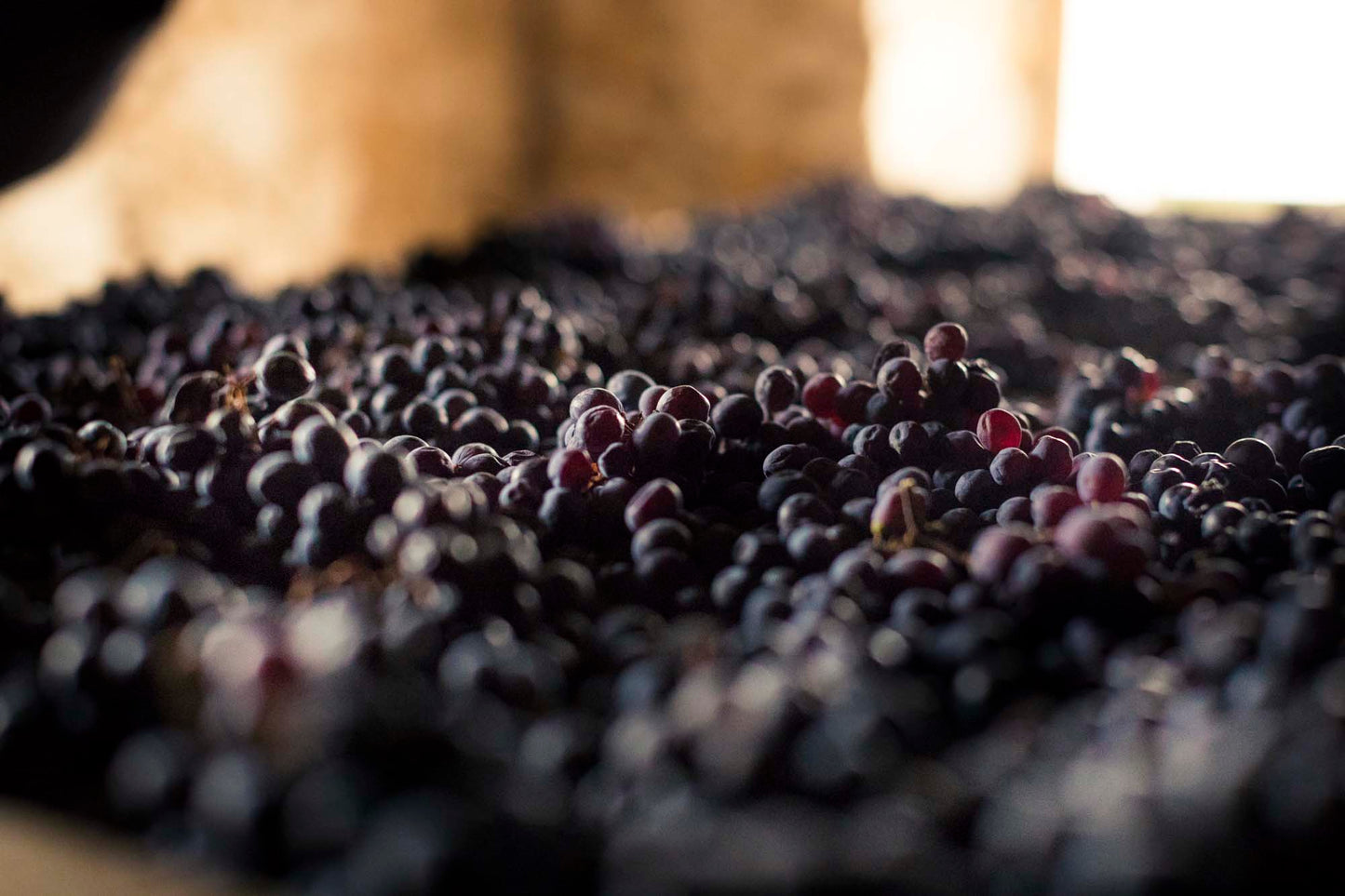 Alìe - FRESCOBALDI (Toscana) 750ml x 6btl