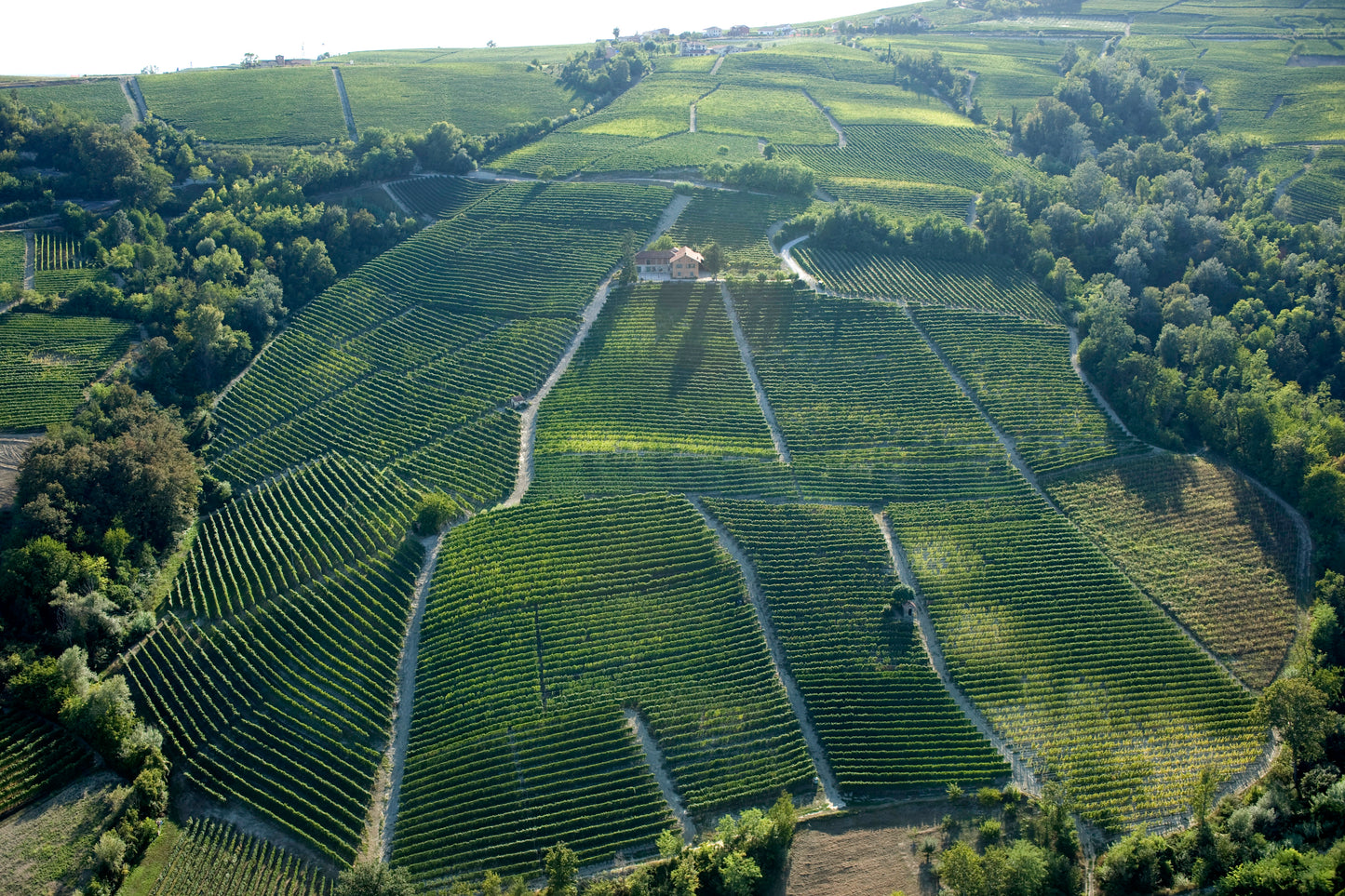 Alìe - FRESCOBALDI (Toscana) 750ml x 6btl