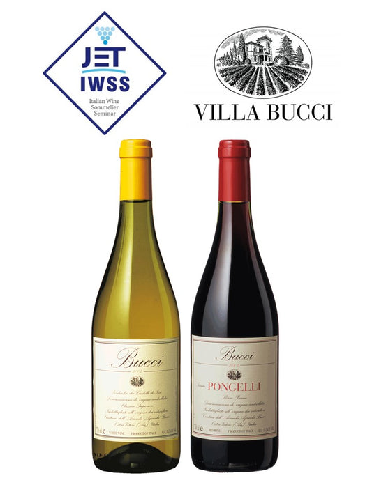 [IWSS] Villa Bucci 2-piece set
