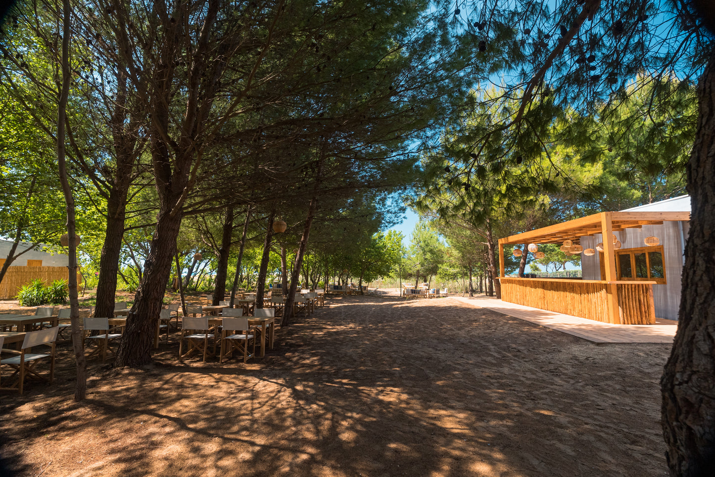 シャルドネ 2001 - PLANETA (プラネタ) 3000ml x １本