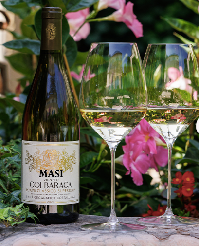 “コルバラーカ” ソアヴェ クラッシコ・スーペリオーレ  - MASI (マァジ)  750ml x １本