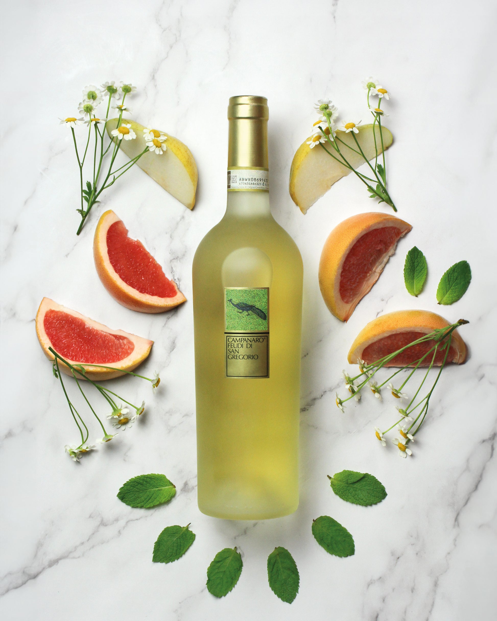 Campanaro - FEUDI DI SAN GREGORIO 750ml x 1 bottle