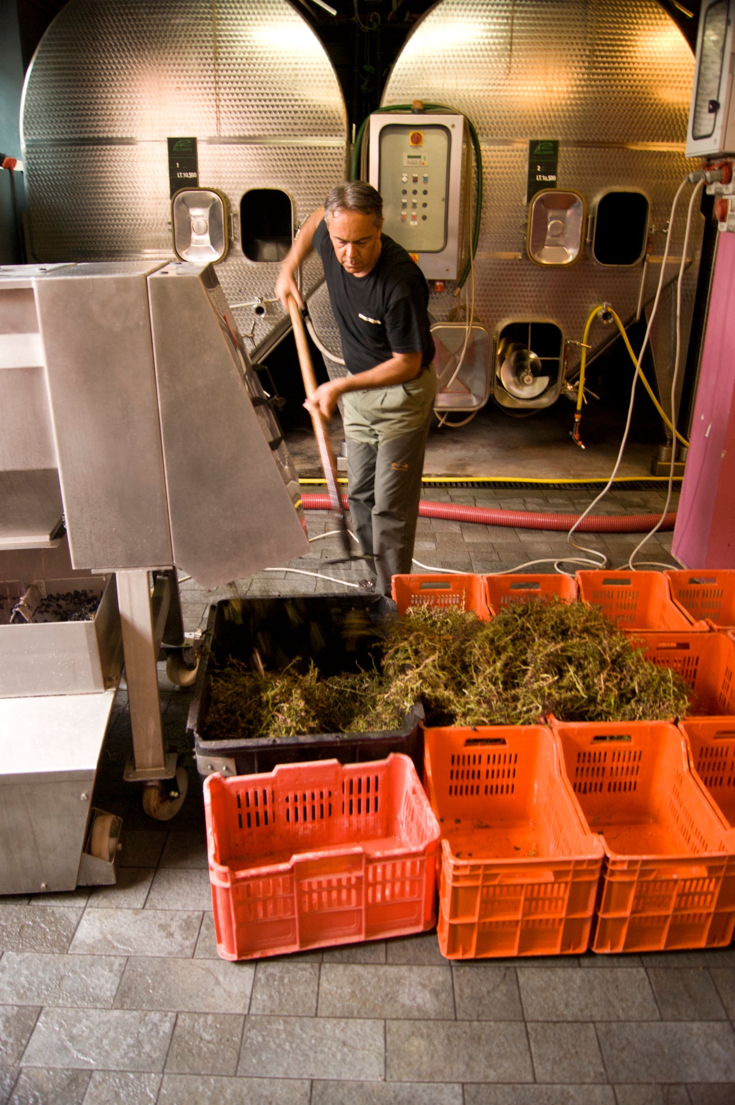 Alìe - FRESCOBALDI (Toscana) 750ml x 6btl