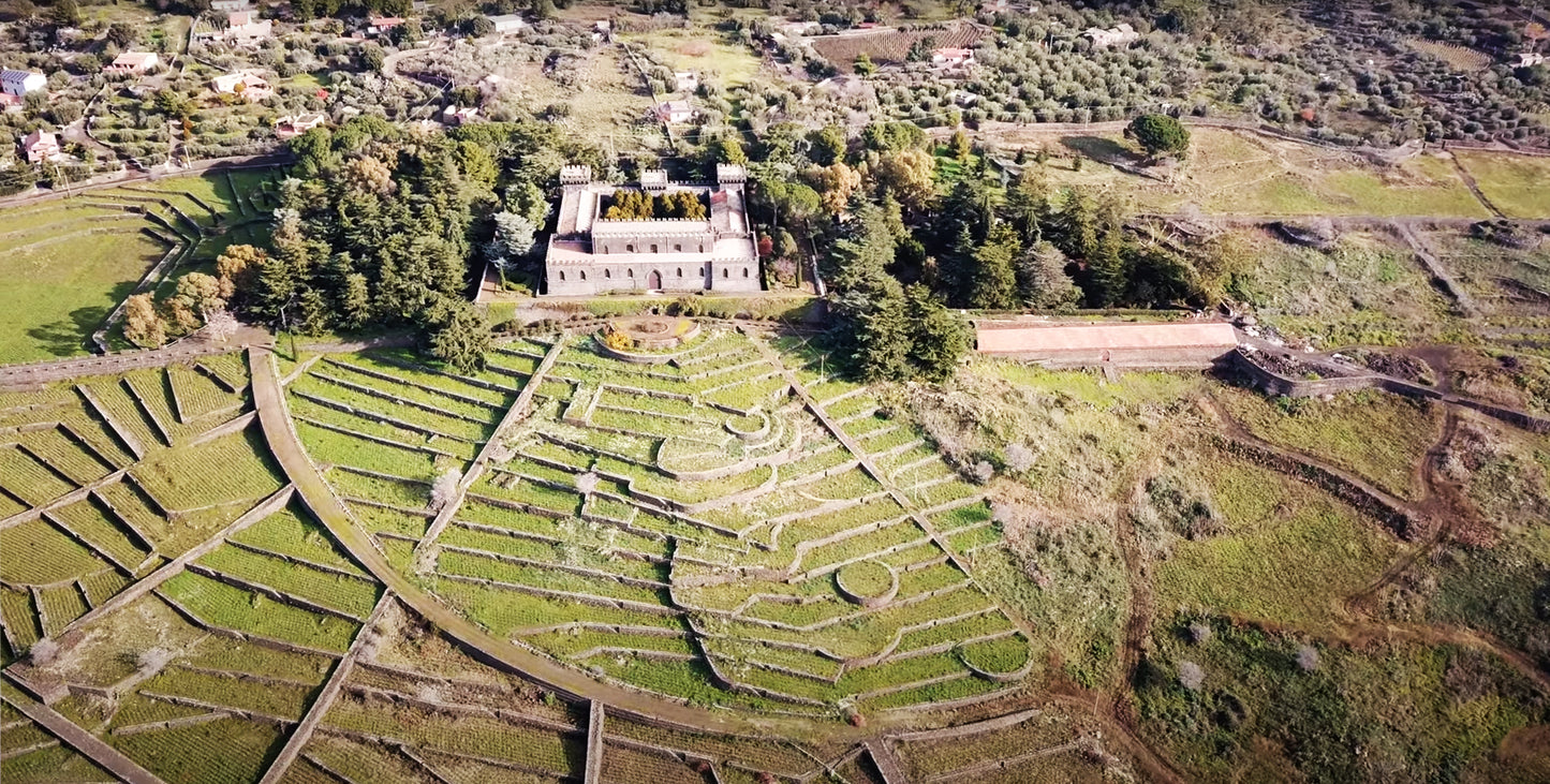 Carapace - Tenute Lunelli (Umbria) 750ml x 6btl