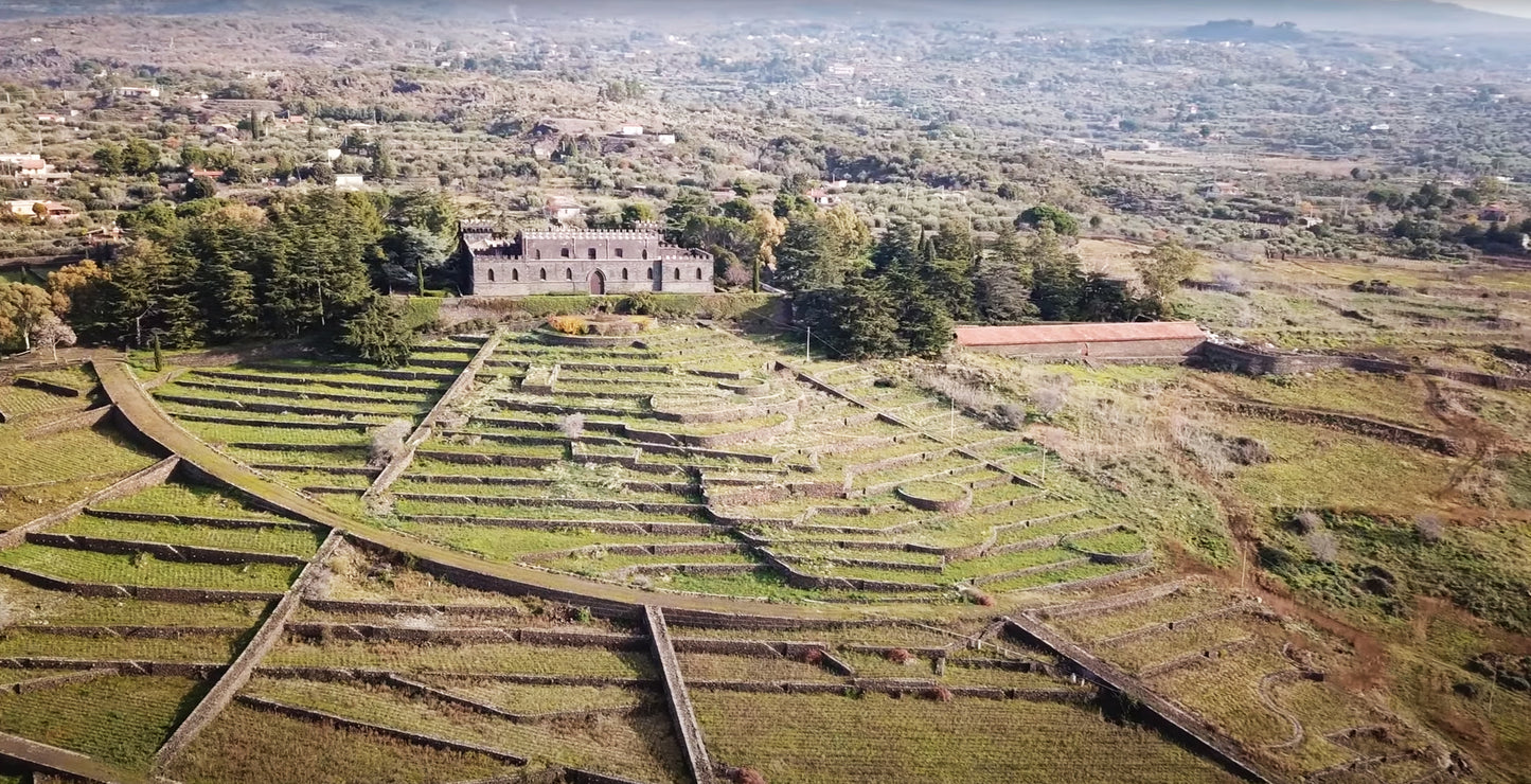Carapace - Tenute Lunelli (Umbria) 750ml x 6btl