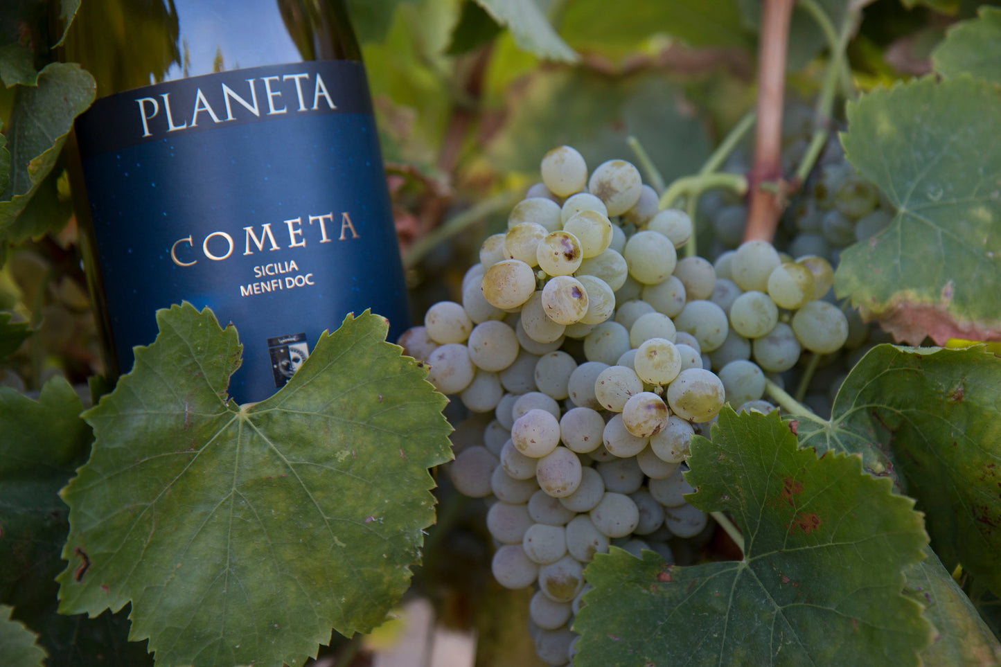 コメータ 2010 - PLANETA (プラネタ)  750ml x １本