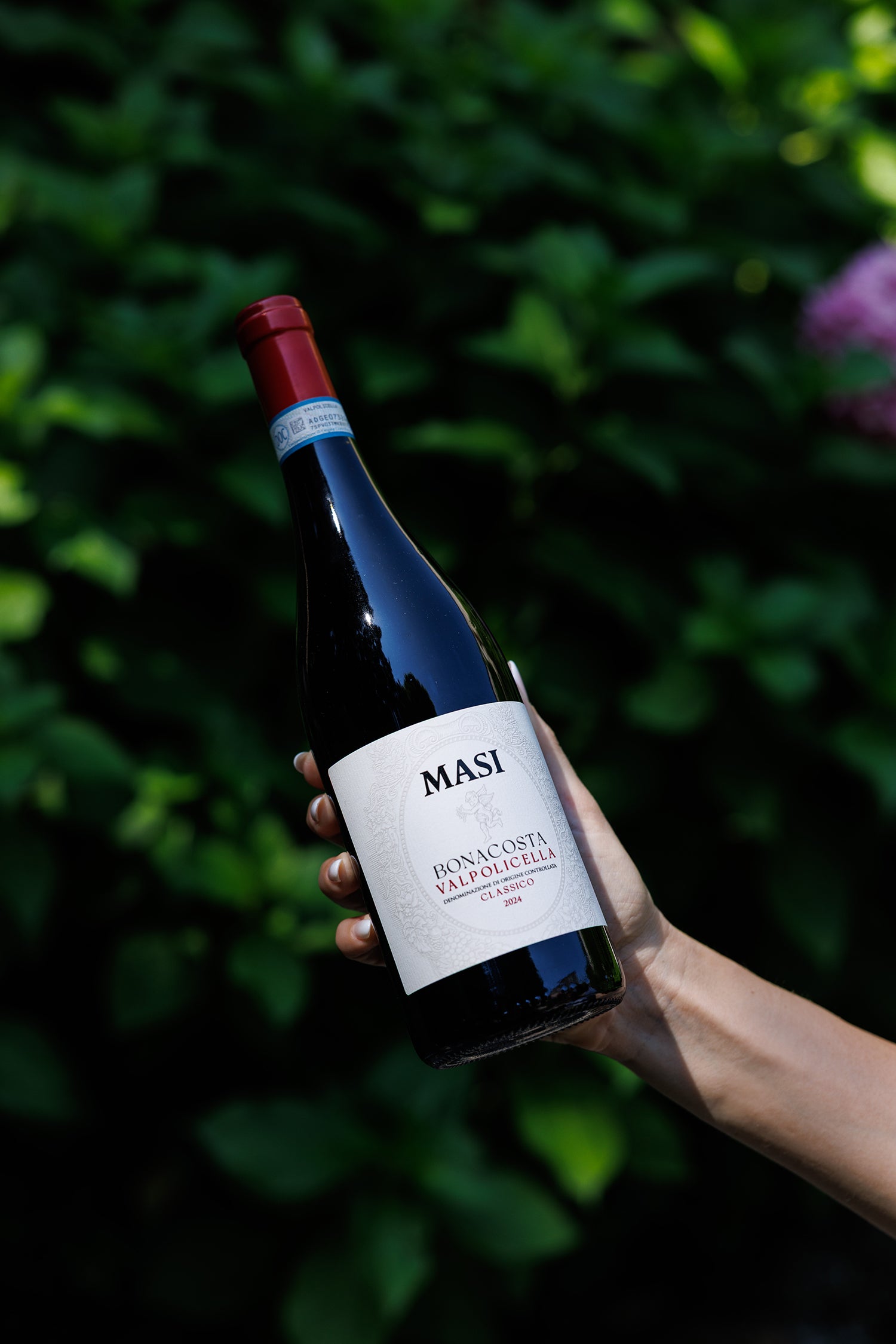 “ボナコスタ” ヴァルポリチェッラ・クラッシコ  - MASI (マァジ) 375ml x １本