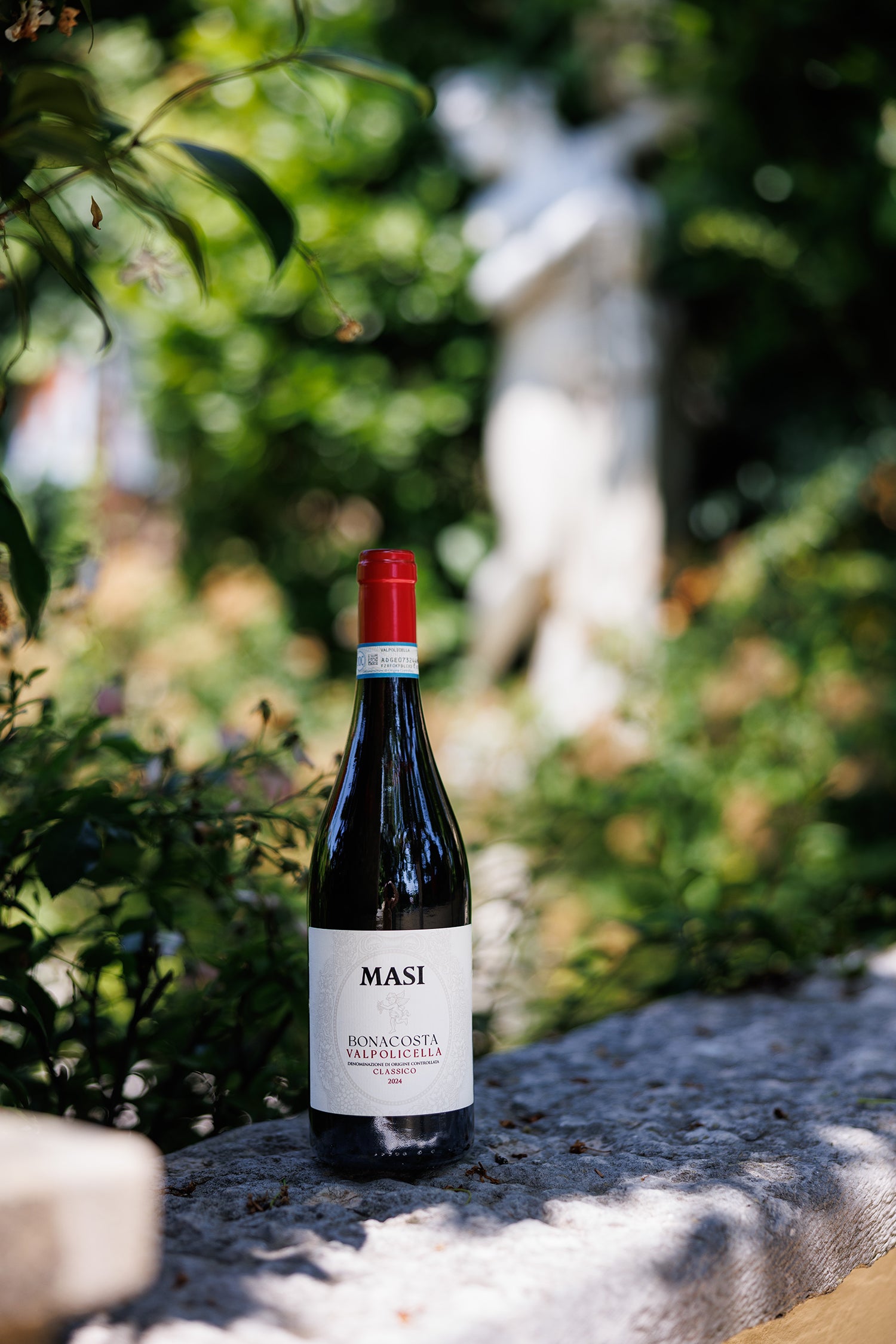 “ボナコスタ” ヴァルポリチェッラ・クラッシコ  - MASI (マァジ) 375ml x １本