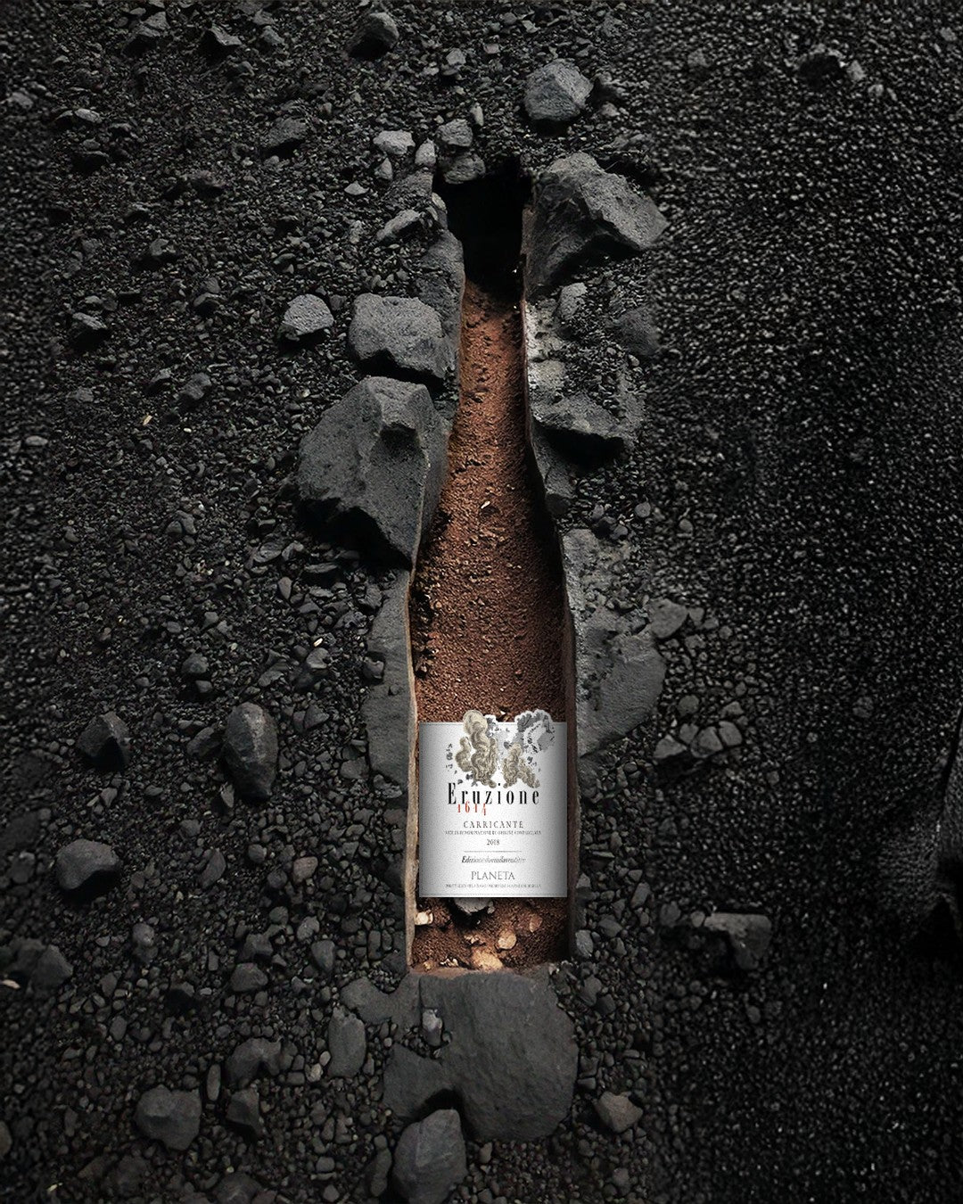 Carapace - Tenute Lunelli (Umbria) 750ml x 6btl