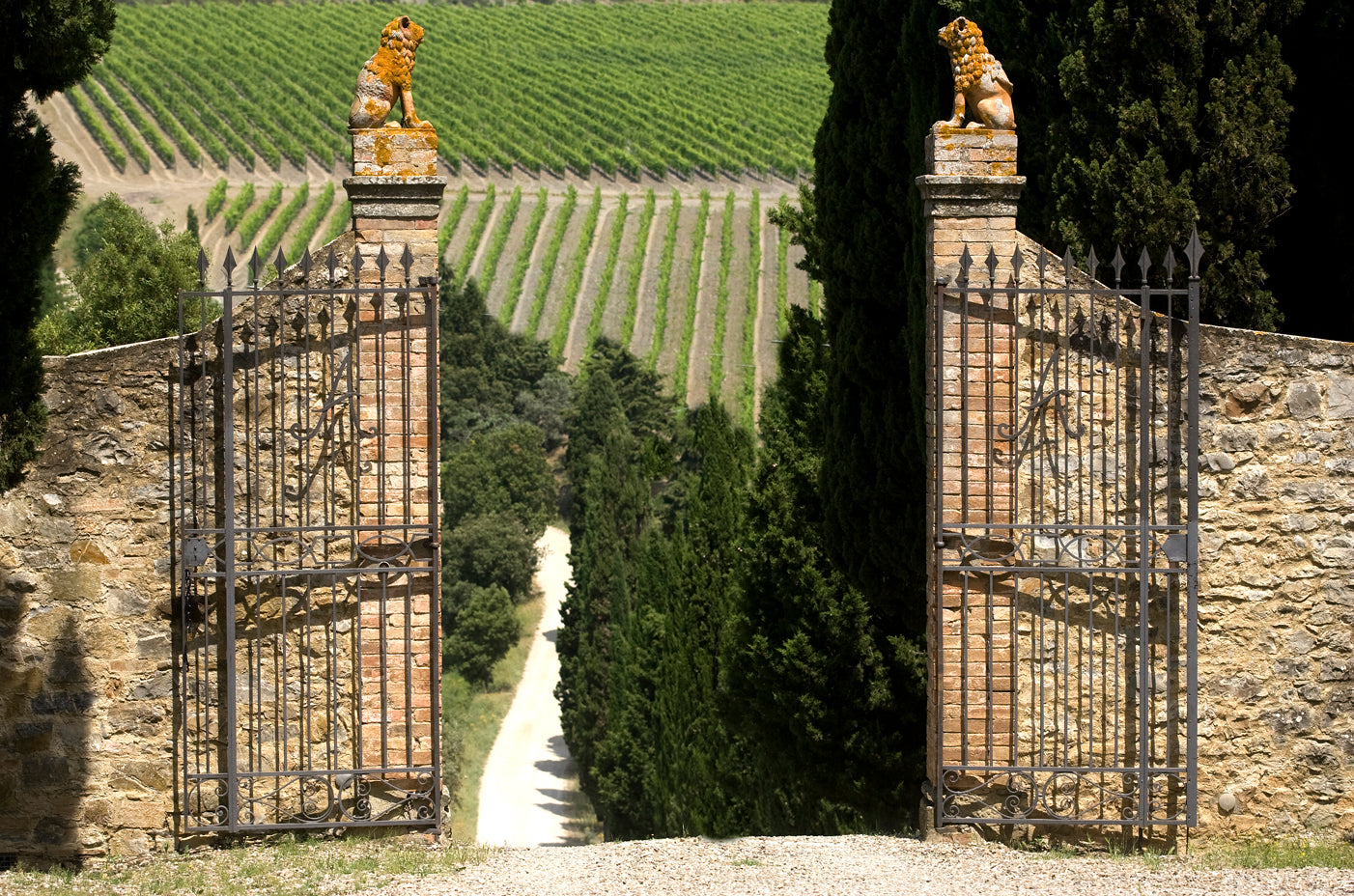 ブルネッロ・ディ・モンタルチーノ・カステルジョコンド 2015 - FRESCOBALDI (フレスコバルディ) 750ml x １本