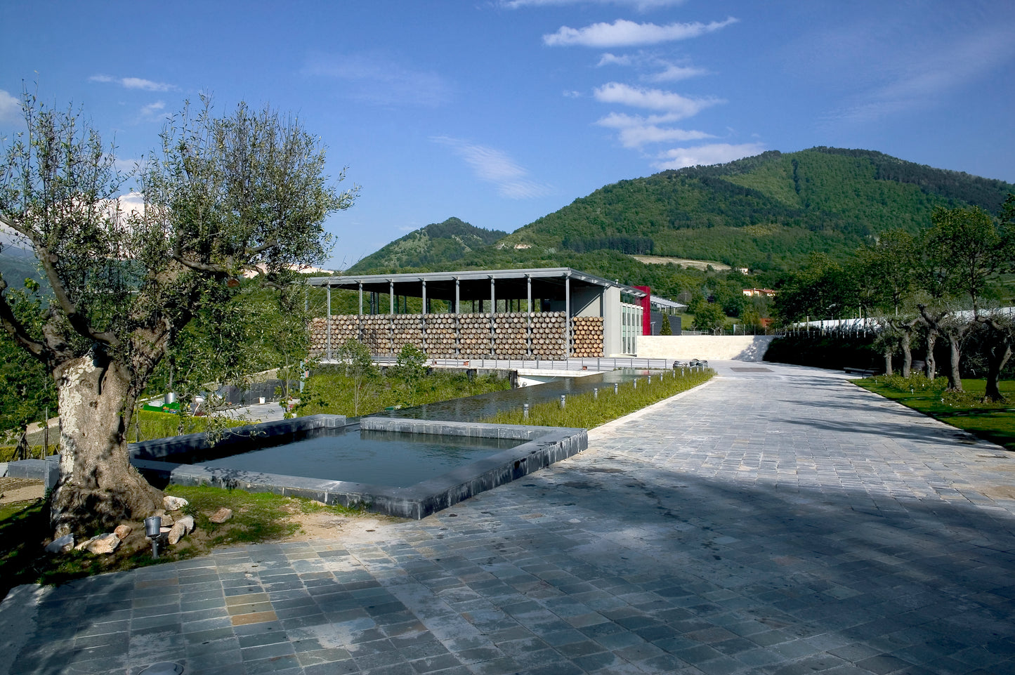 Alìe - FRESCOBALDI (Toscana) 750ml x 6btl