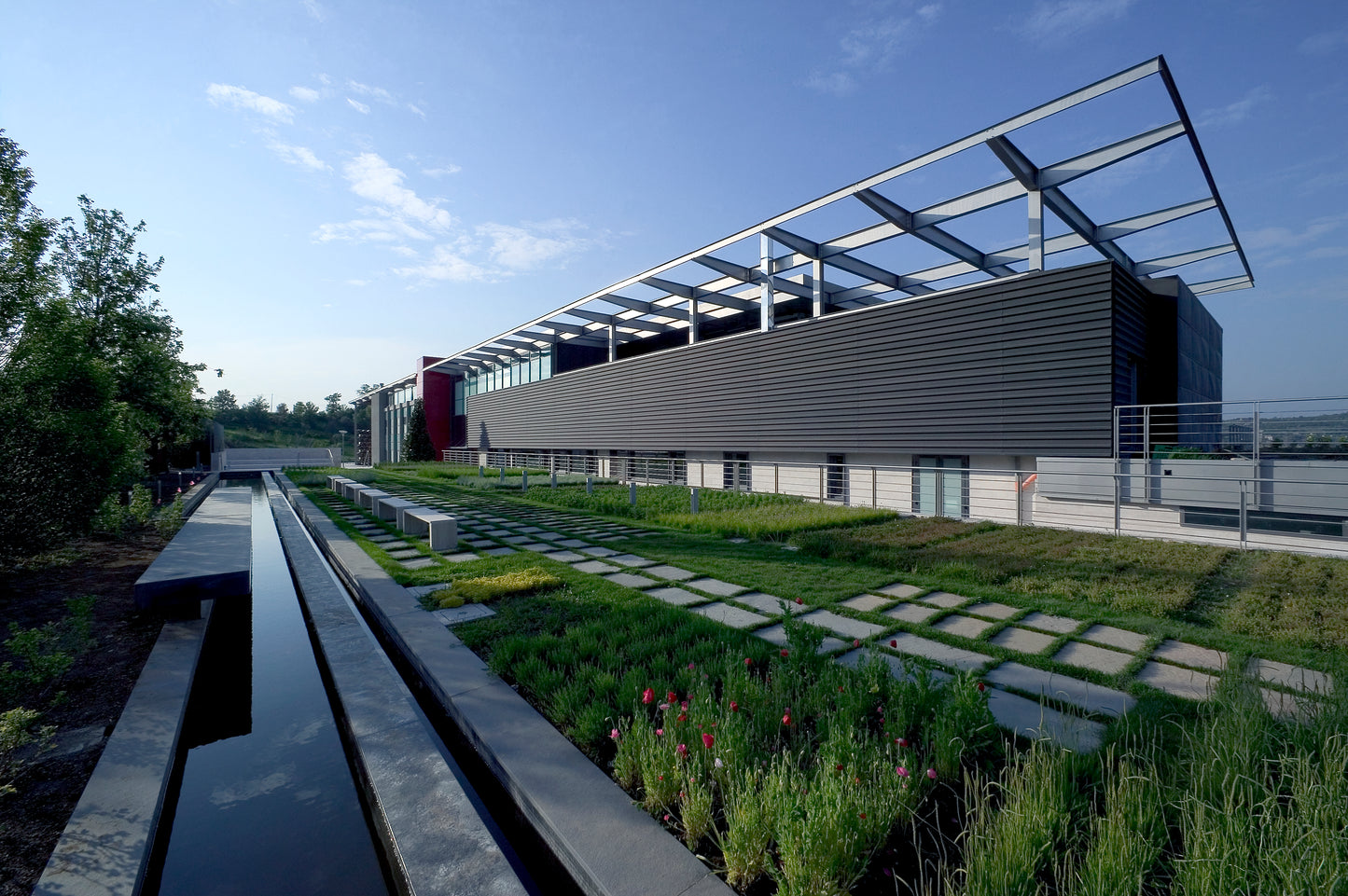 Alìe - FRESCOBALDI (Toscana) 750ml x 6btl