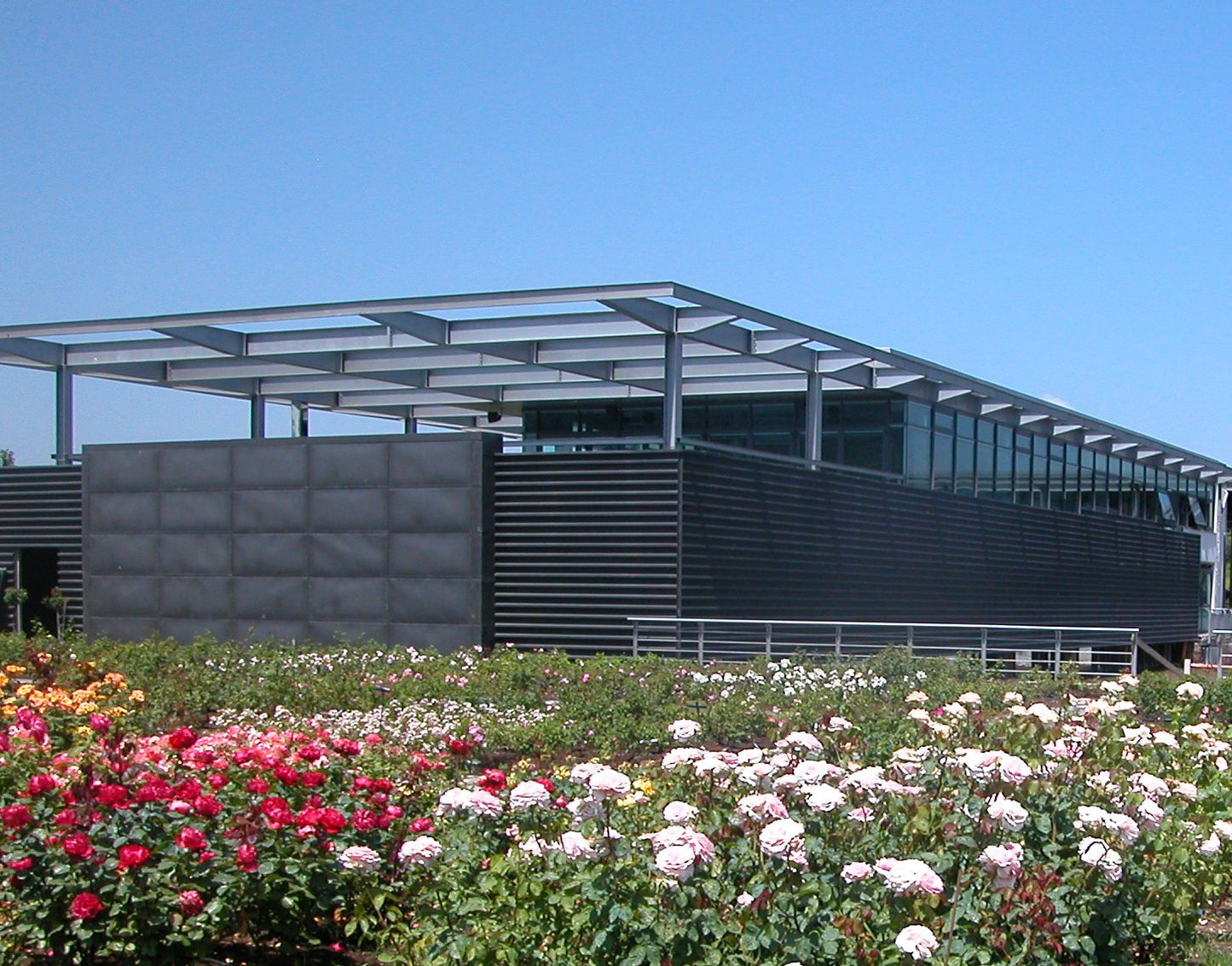 Alìe - FRESCOBALDI (Toscana) 750ml x 6btl