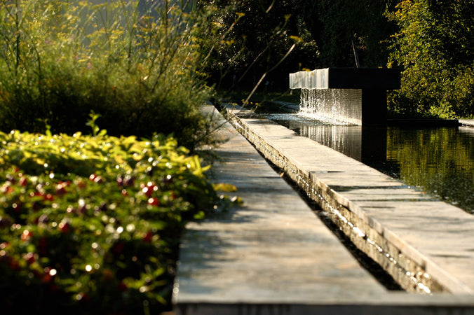 Alìe - FRESCOBALDI (Toscana) 750ml x 6btl