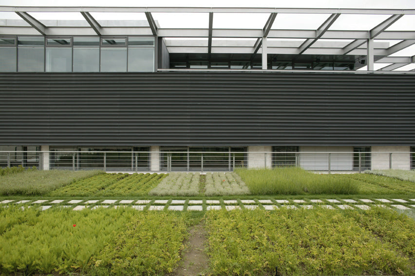 Alìe - FRESCOBALDI (Toscana) 750ml x 6btl