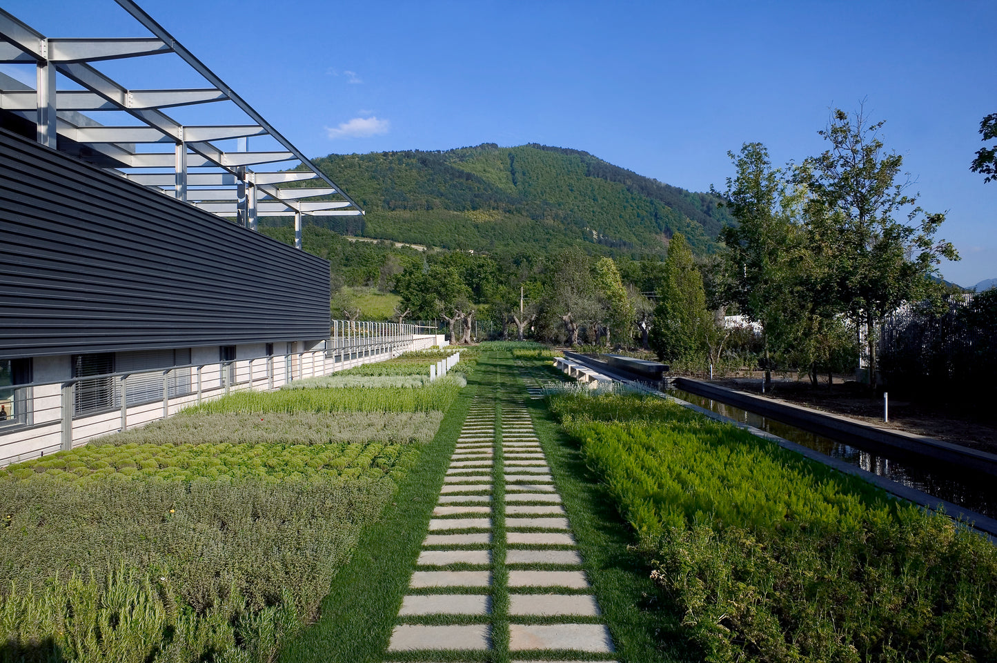 Alìe - FRESCOBALDI (Toscana) 750ml x 6btl