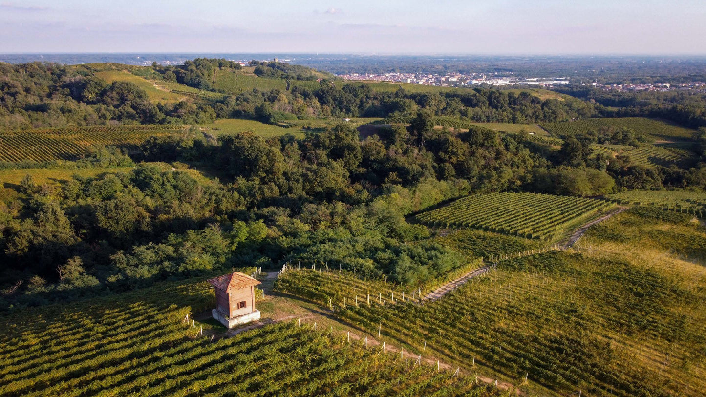 ガッティナーラ・リゼルヴァ 2005 - TRAVAGLINI (トラヴァリーニ)  750ml x １本