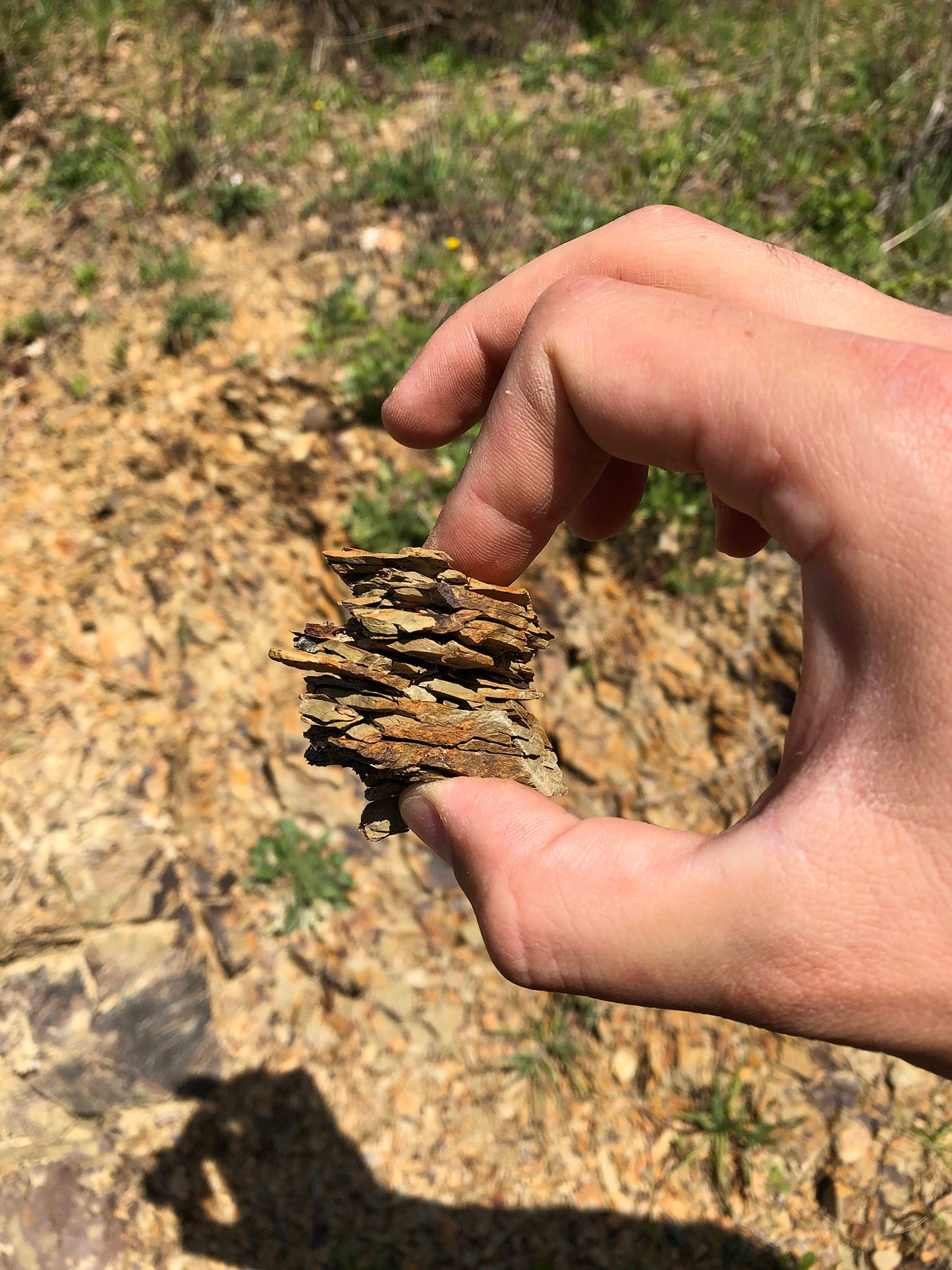 Alìe - FRESCOBALDI (Toscana) 750ml x 6btl