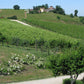 Alìe - FRESCOBALDI (Toscana) 750ml x 6btl