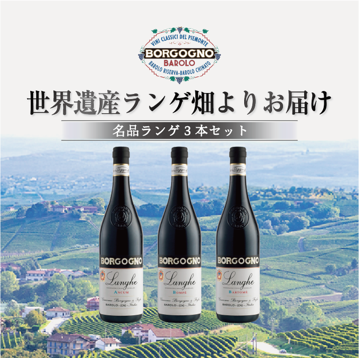 【SALE】BORGOGNO 世界遺産ランゲ畑よりお届け3本セット（対面イベント付き）