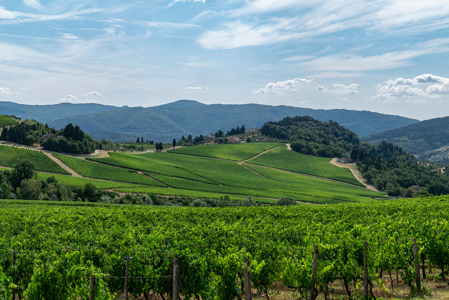 Nipozzano Riserva - FRESCOBALDI (Toscana) 750ml x 6btl (with wooden box)