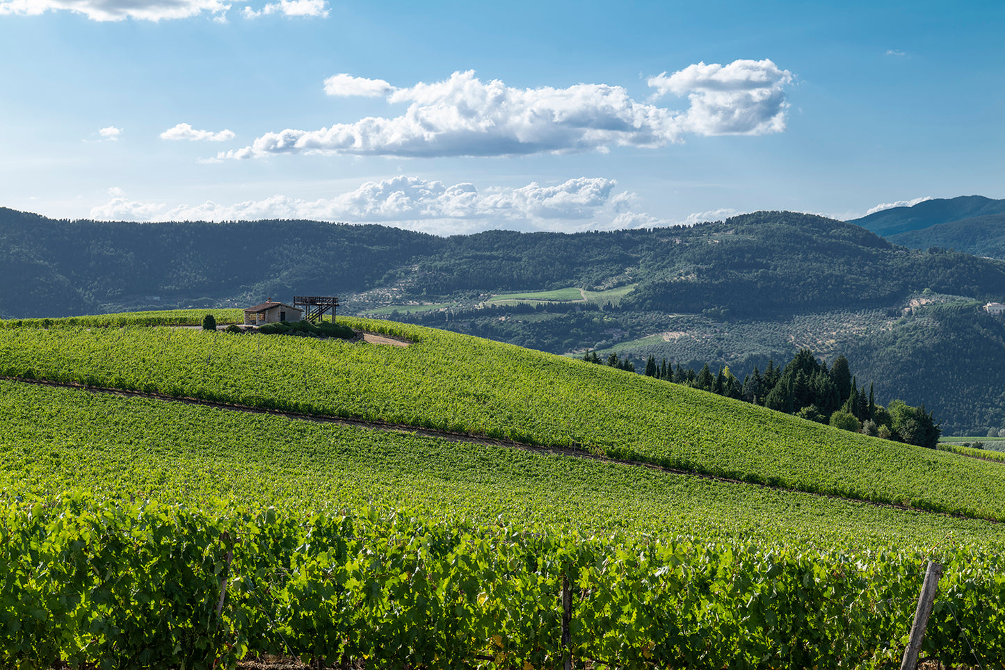 Nipozzano Riserva - FRESCOBALDI (Toscana) 750ml x 6btl (with wooden box)