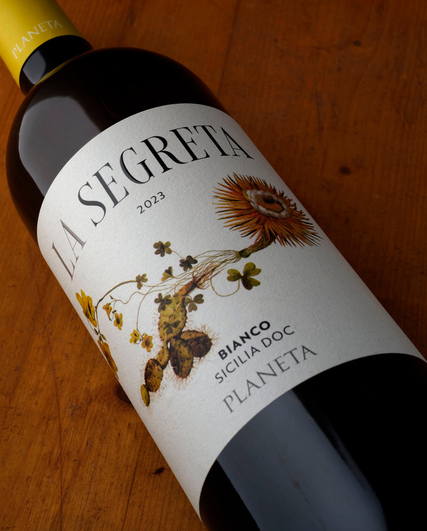 Carapace - Tenute Lunelli (Umbria) 750ml x 6btl