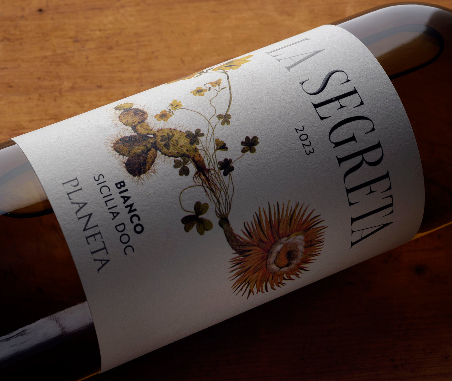 Carapace - Tenute Lunelli (Umbria) 750ml x 6btl