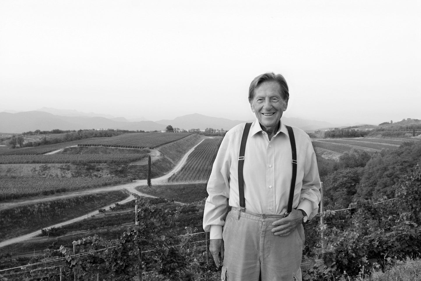 テッレ・アルテ 2018 - Livio Felluga（リヴィオ・フェッルーガ）750ml x １本