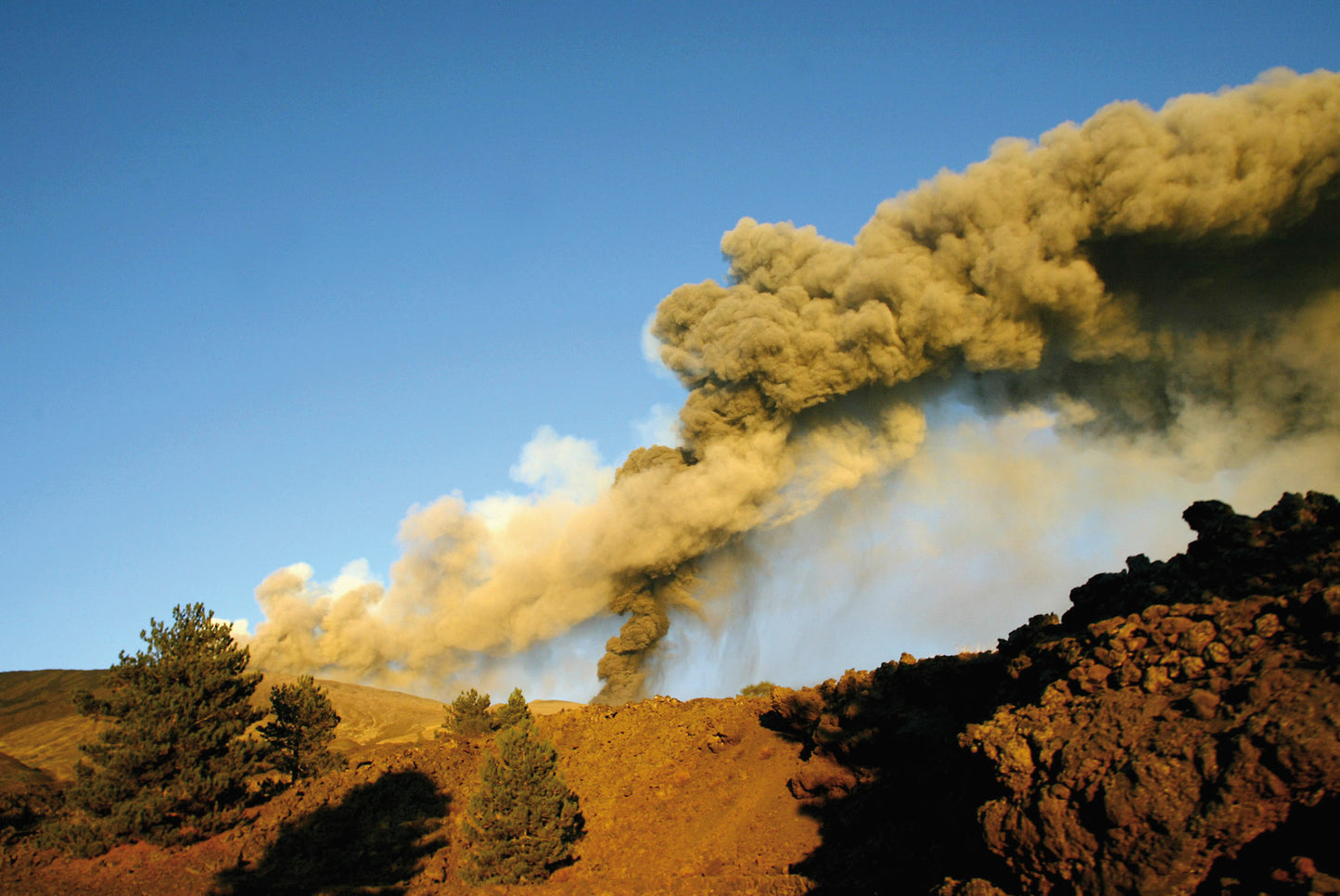 Carapace - Tenute Lunelli (Umbria) 750ml x 6btl