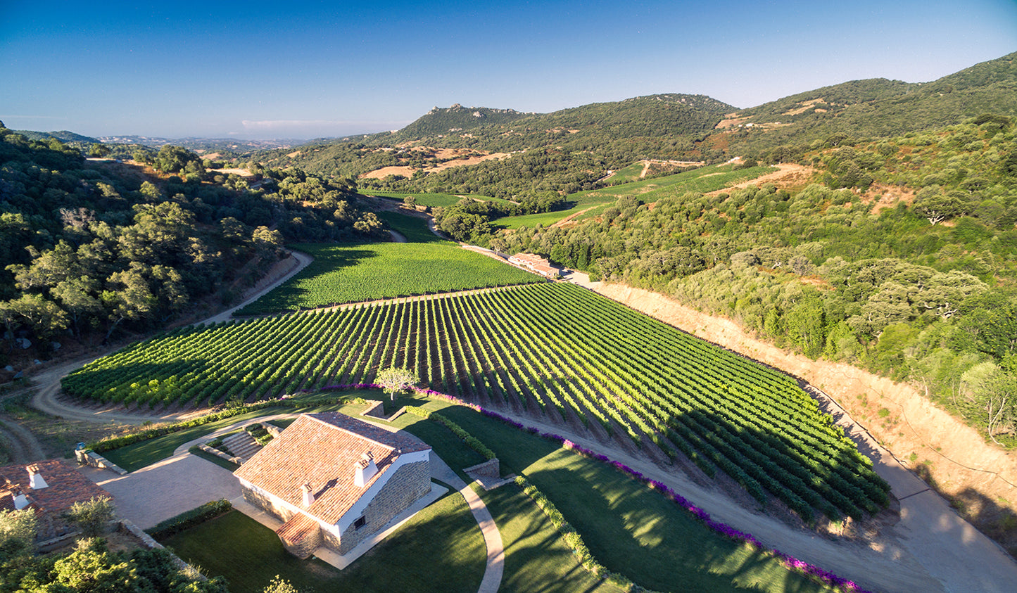 Carapace - Tenute Lunelli (Umbria) 750ml x 6btl