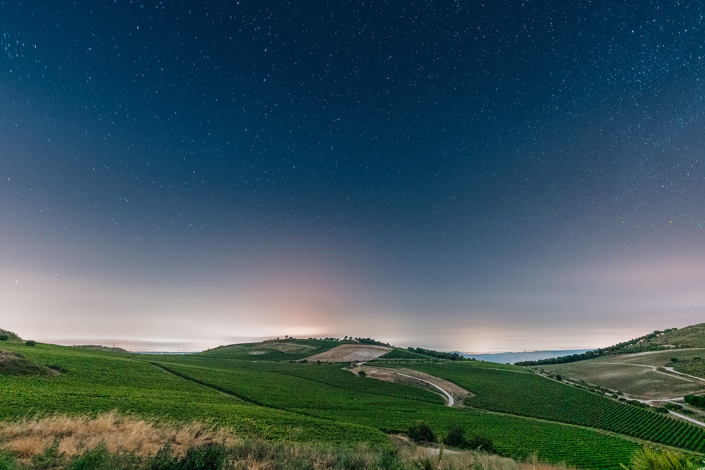 シャルドネ 2001 - PLANETA (プラネタ) 3000ml x １本