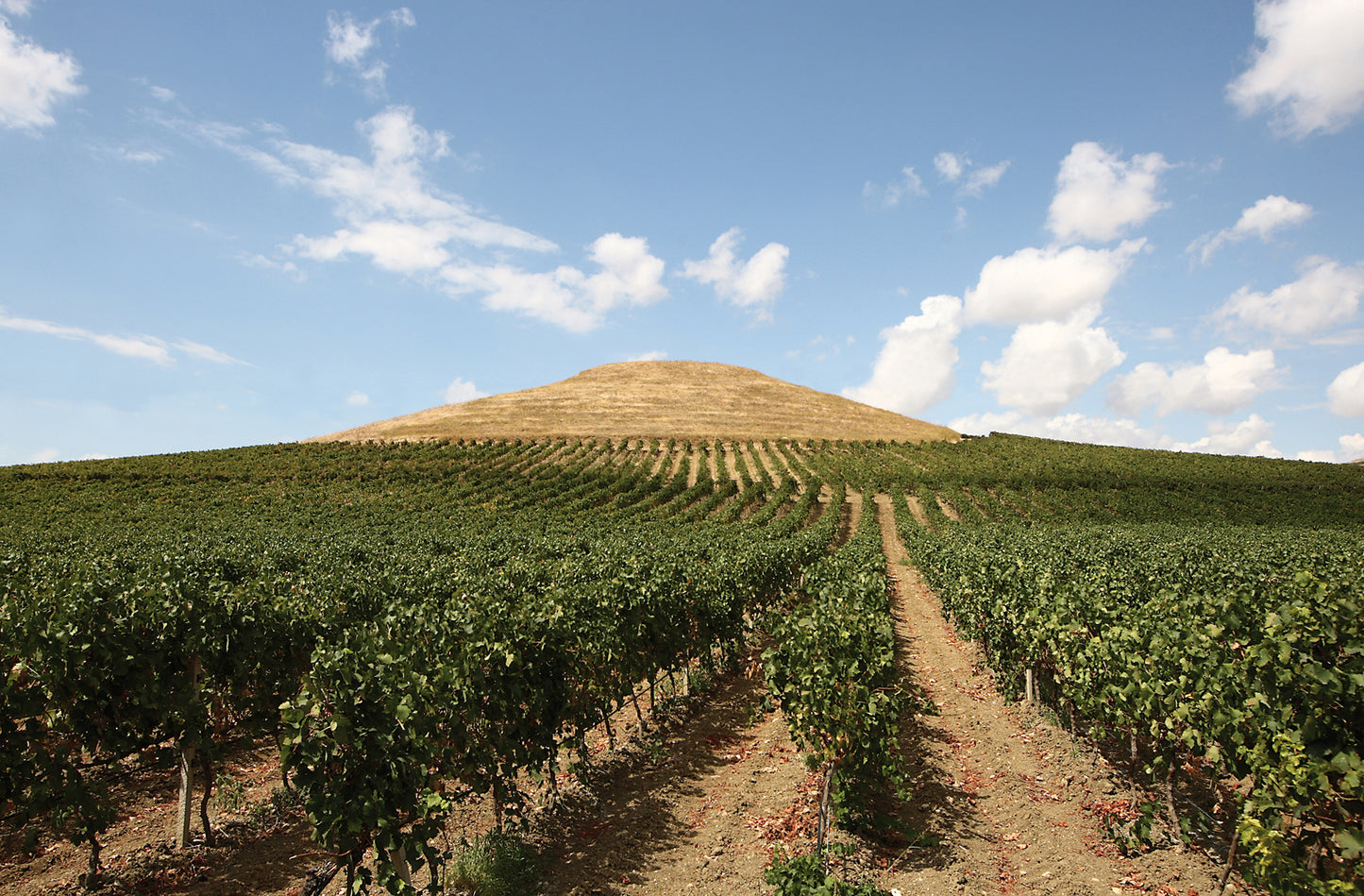 シャルドネ 2001 - PLANETA (プラネタ) 3000ml x １本