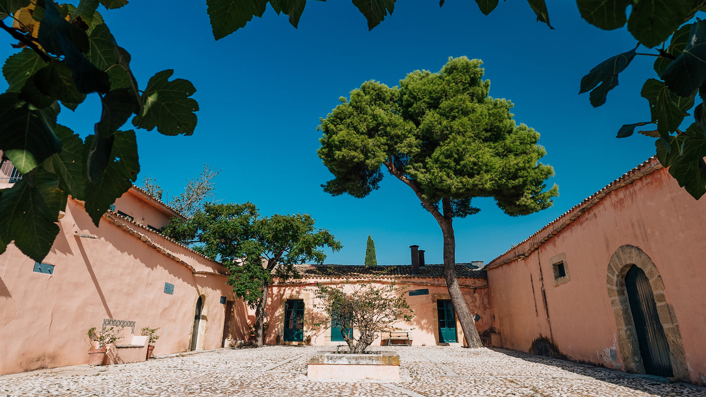 シャルドネ 2001 - PLANETA (プラネタ) 3000ml x １本