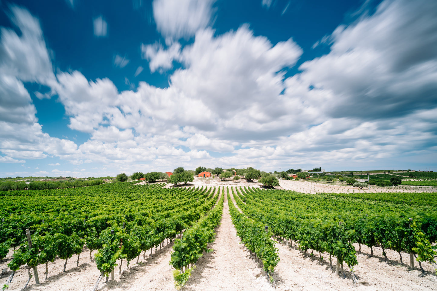 Carapace - Tenute Lunelli (Umbria) 750ml x 6btl