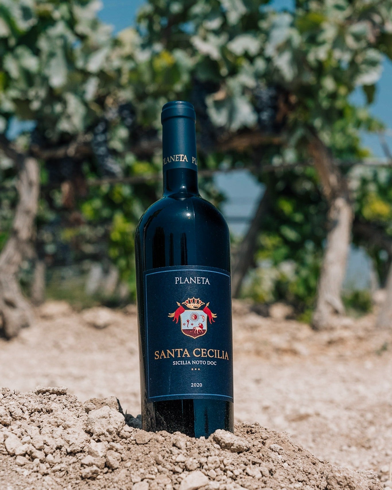 Carapace - Tenute Lunelli (Umbria) 750ml x 6btl