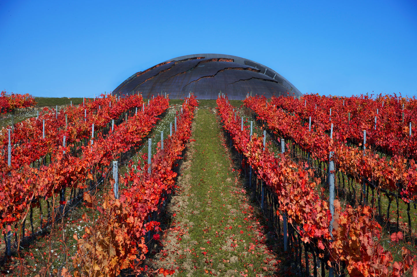 ジッグラット - Tenute Lunelli（ウンブリア）750ml x １本