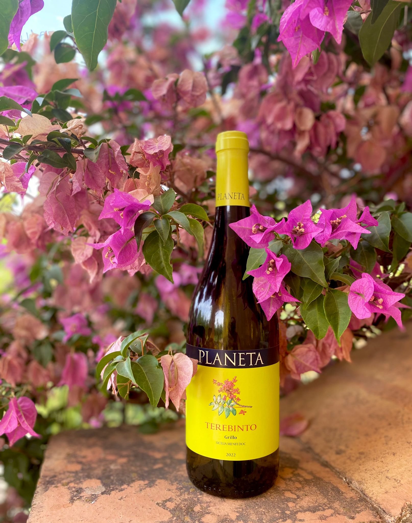 Televino - PLANETA 750ml x 1 bottle