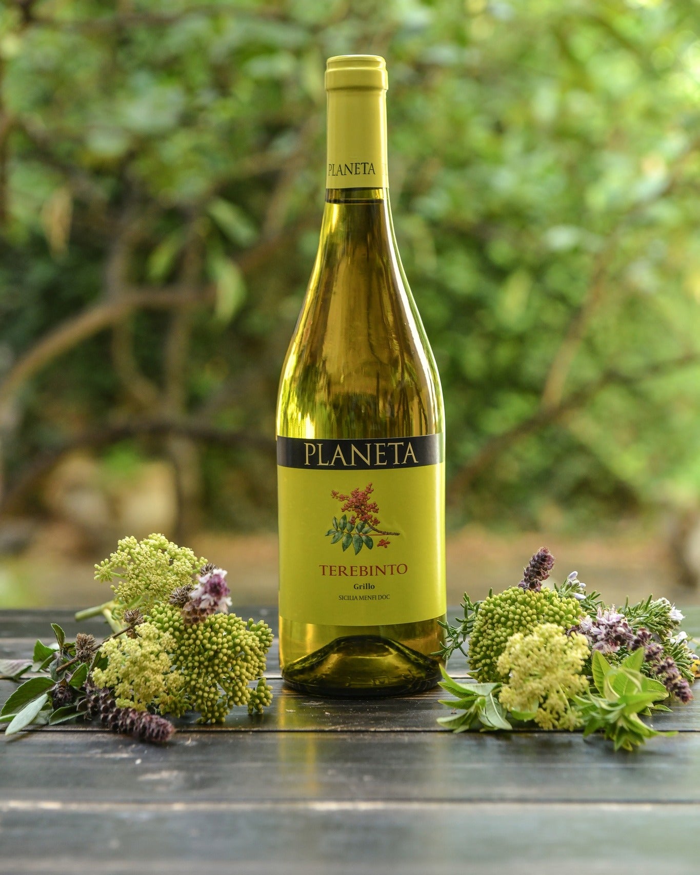 Televino - PLANETA 750ml x 1 bottle