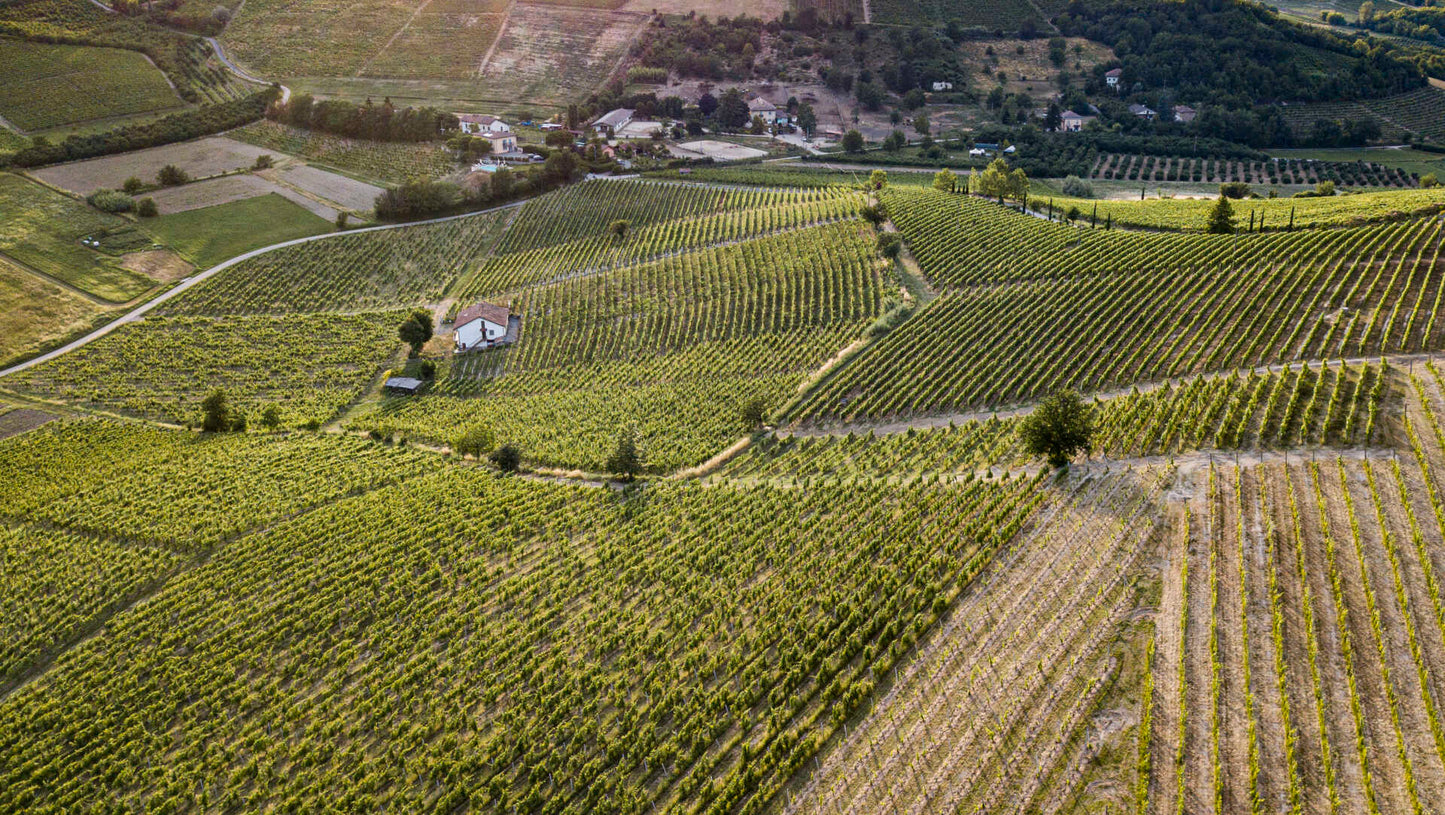 Alìe - FRESCOBALDI (Toscana) 750ml x 6btl