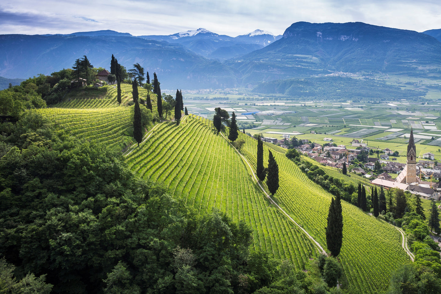 “アトン” ピノ・ノワール・リゼルヴァ  - ELENA WALCH (エレナ・ヴァルヒ)  750ml x １本