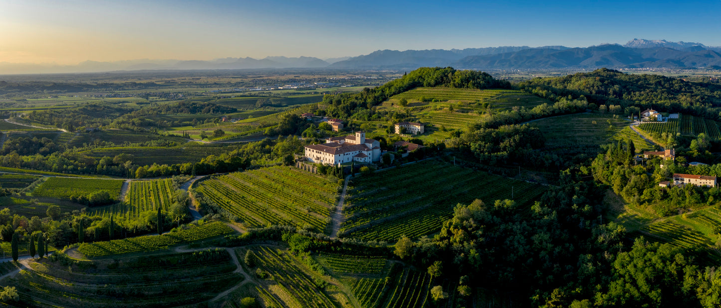 テッレ・アルテ 2018 - Livio Felluga（リヴィオ・フェッルーガ）750ml x １本