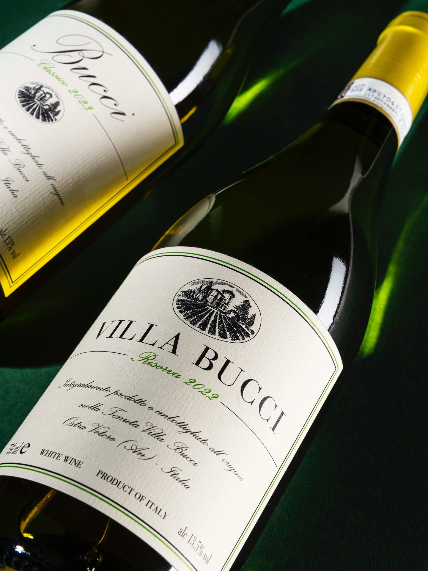 “ヴィッラ・ブッチ”リゼルヴァ・ディ・ヴェルディッキオ・クラッシコ 2006 - Villa Bucci（ヴィッラ・ブッチ）750ml x １本