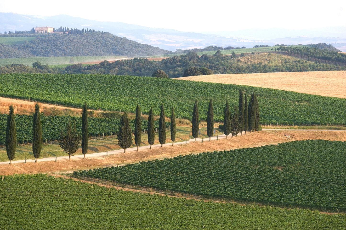 Nipozzano Riserva - FRESCOBALDI (Toscana) 750ml x 6btl (with wooden box)