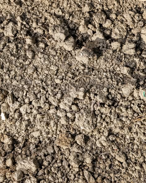 "Bucci" Verdicchio Classico di Castelli di Jesi - Bucci (Marche) 750ml x 6btl