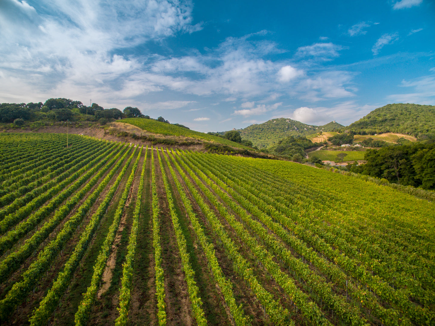 Carapace - Tenute Lunelli (Umbria) 750ml x 6btl
