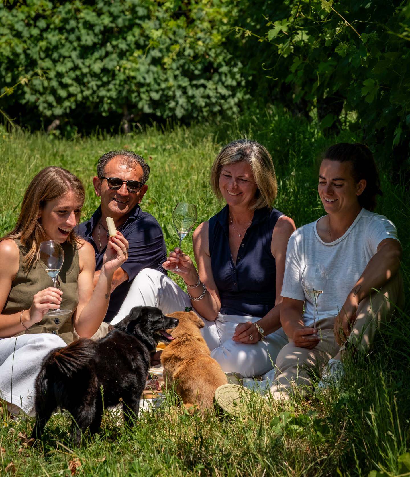 ガッティナーラ・リゼルヴァ 2005 - TRAVAGLINI (トラヴァリーニ)  750ml x １本