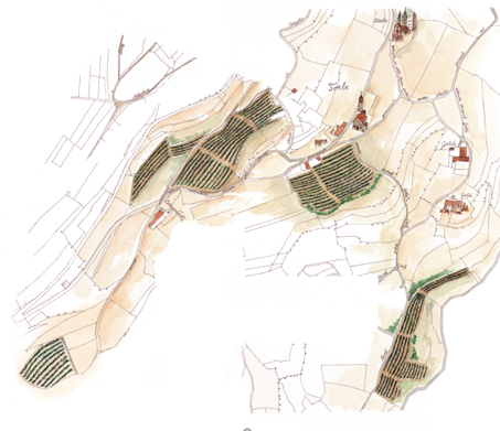 Alìe - FRESCOBALDI (Toscana) 750ml x 6btl