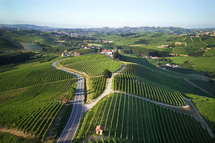 Alìe - FRESCOBALDI (Toscana) 750ml x 6btl